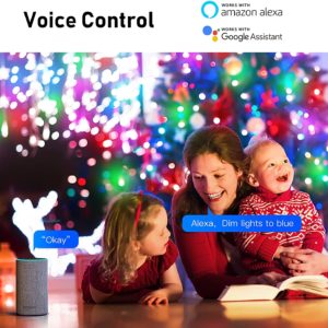 71t4sDYYU0L._AC_SL1500_ 71t4sDYYU0L._AC_SL1500_